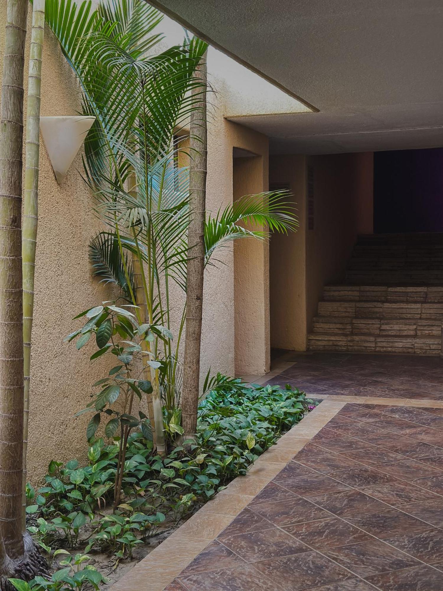 Hotel Los Patios Cabo San Lucas Kültér fotó