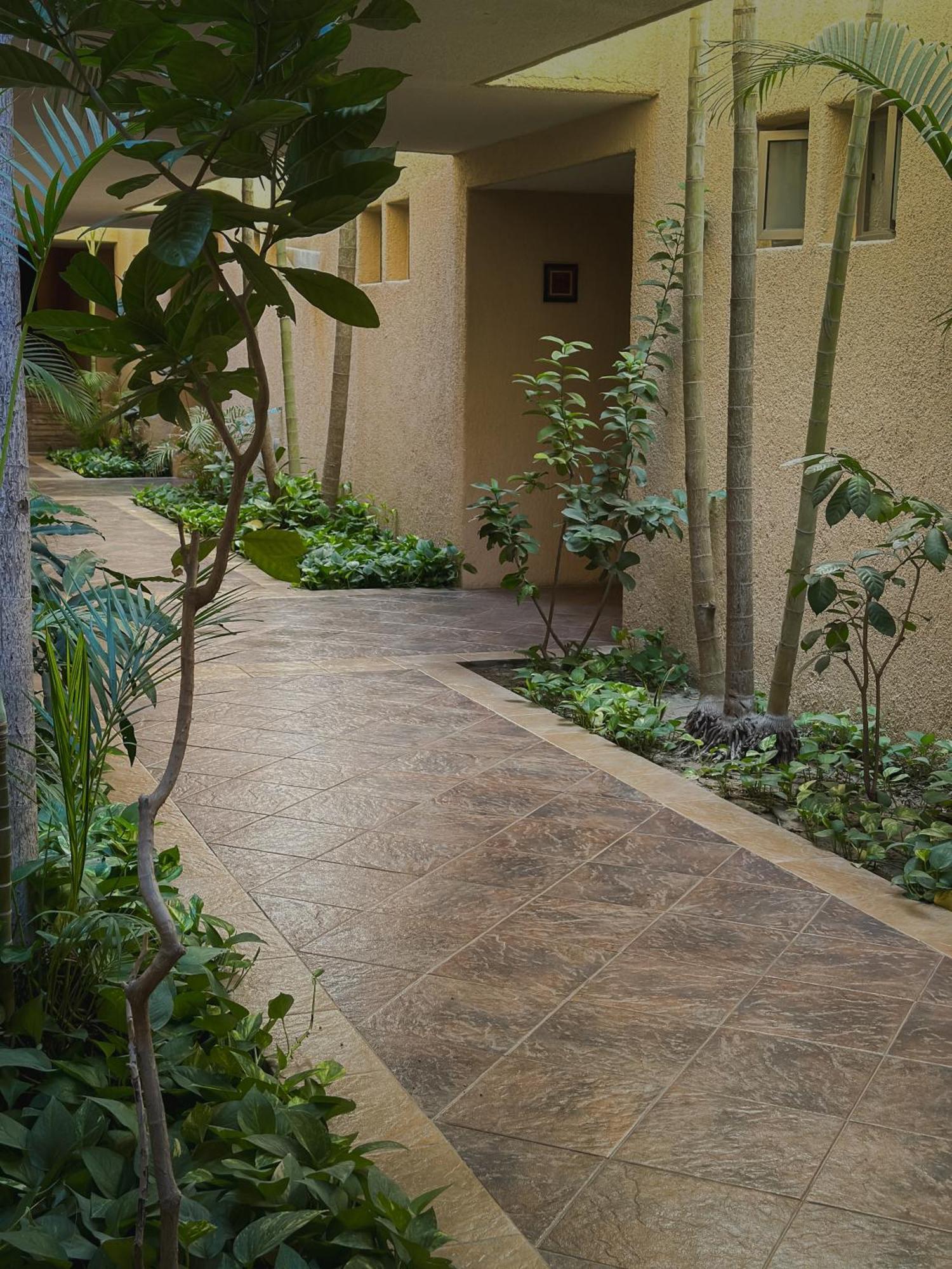 Hotel Los Patios Cabo San Lucas Kültér fotó