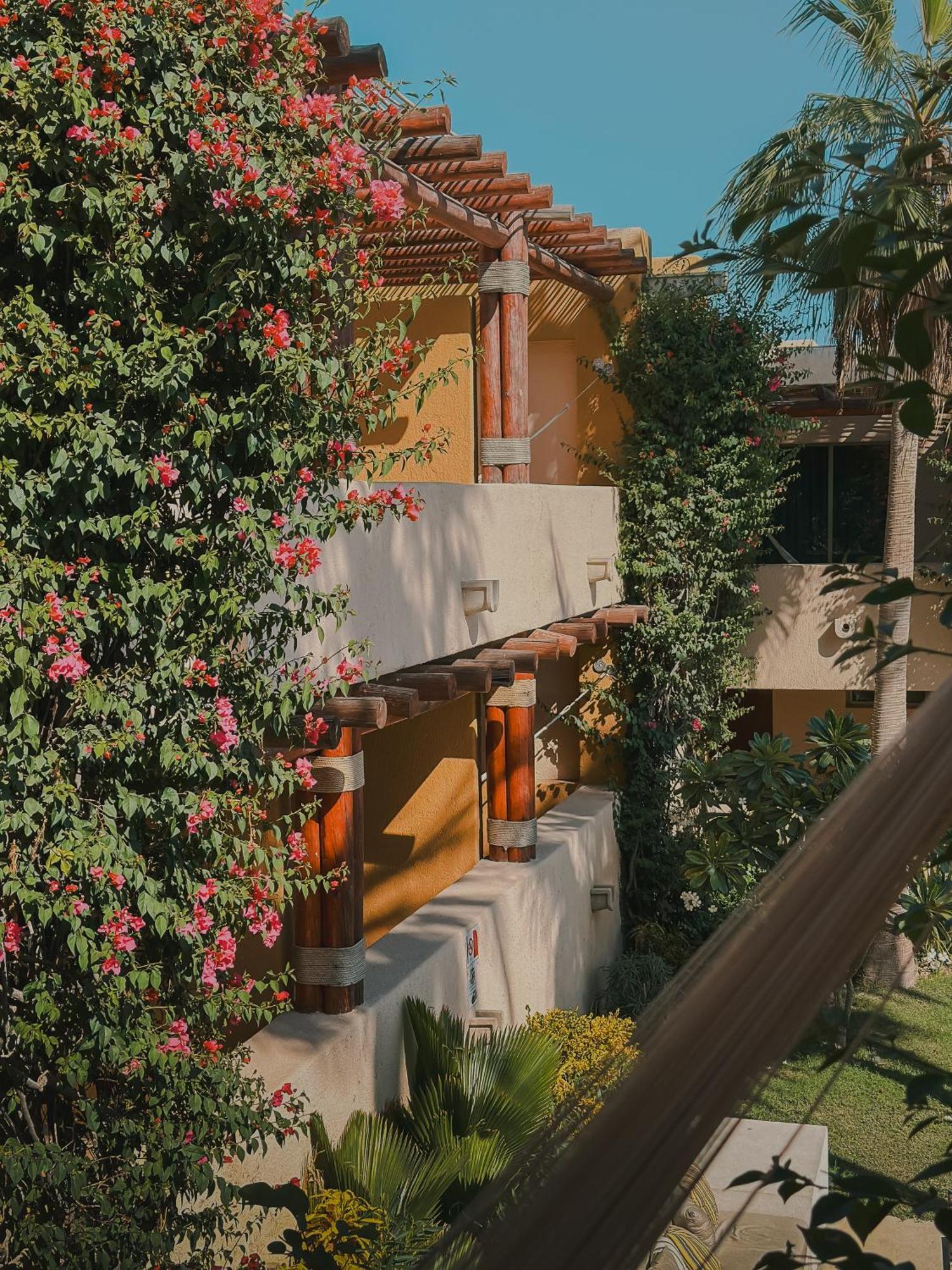 Hotel Los Patios Cabo San Lucas Kültér fotó
