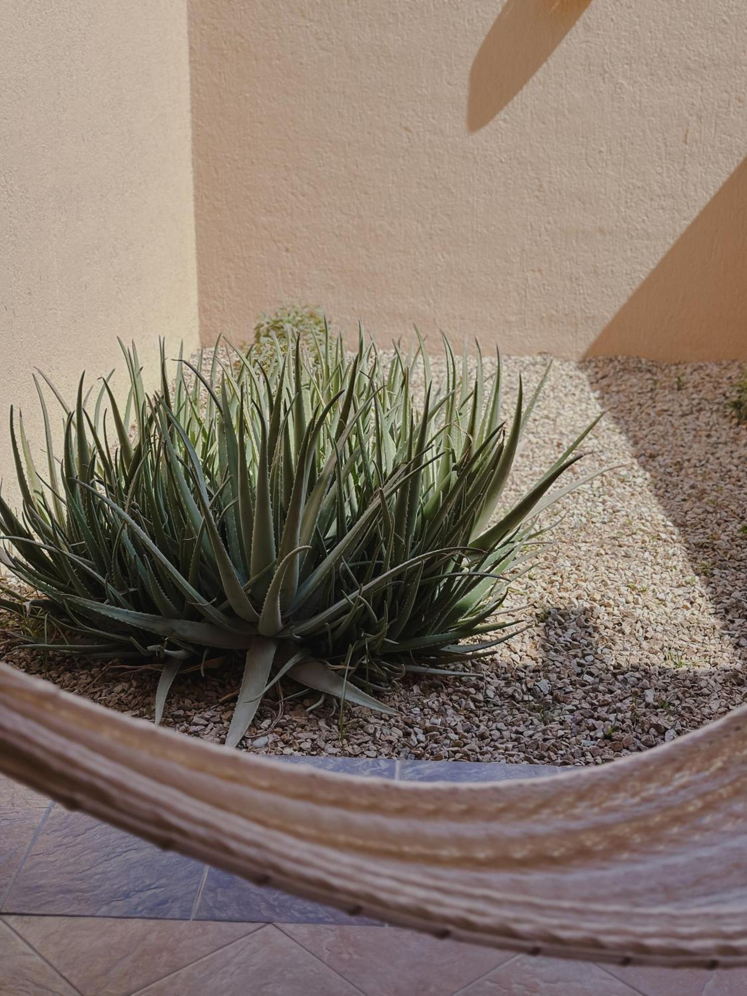 Hotel Los Patios Cabo San Lucas Kültér fotó